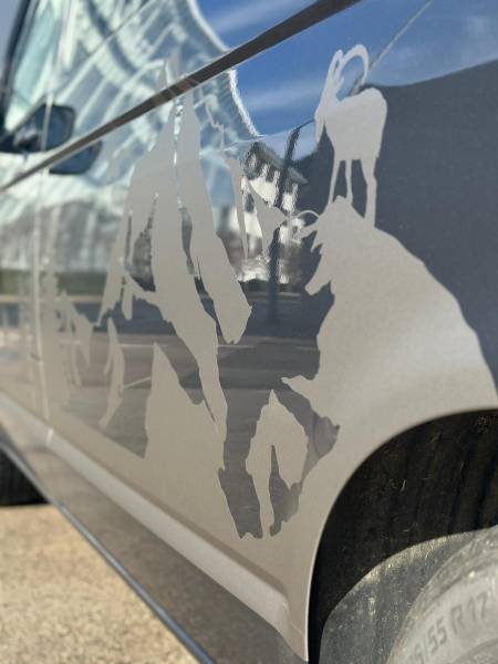 Volkswagen T6 California – Décoration Sur Mesure Montagne & Aventure | C-Wrapping (Fleurier – Neuchâtel – Suisse romande)