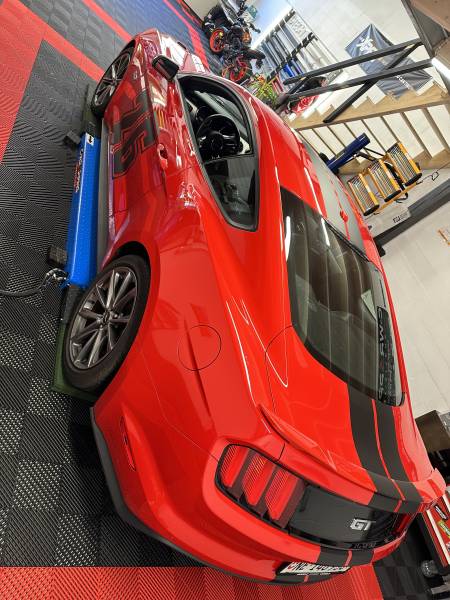 Ford Mustang V8 covering en bande décorative