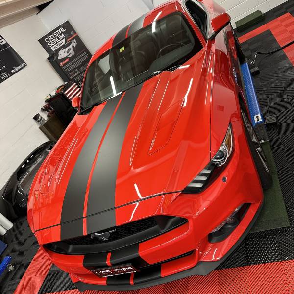 Ford Mustang V8 covering en bande décorative